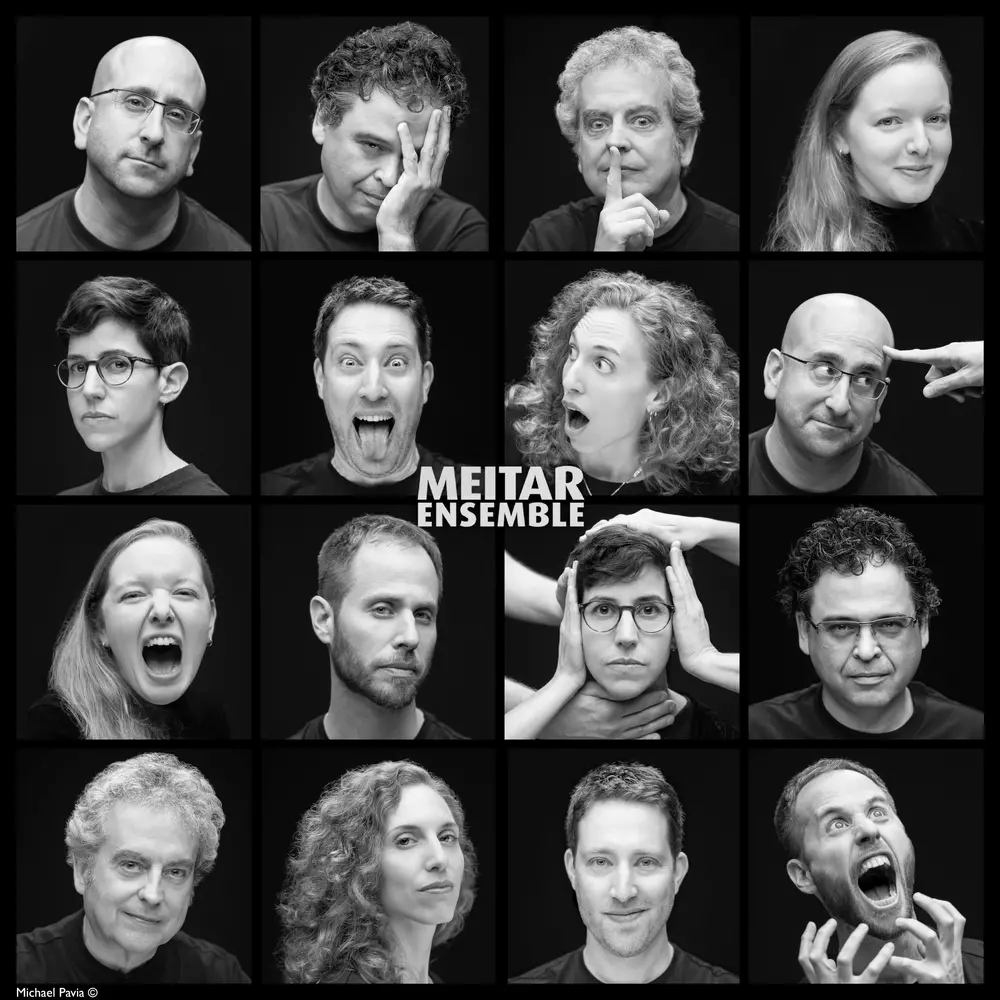 meitar ensemble