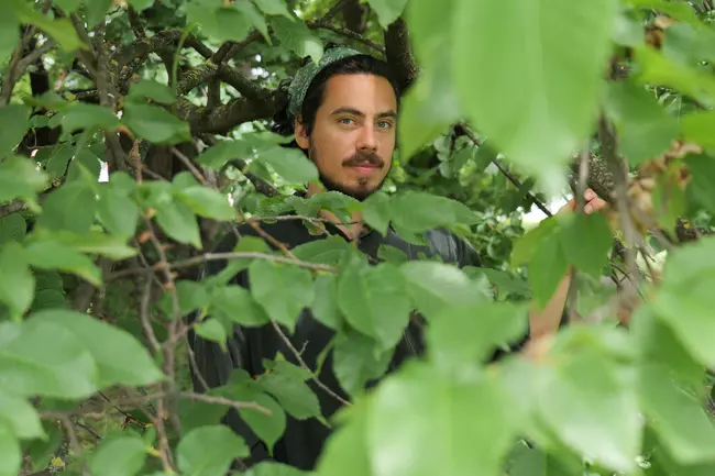 Luis Fernando Amaya surrounded by green leaves