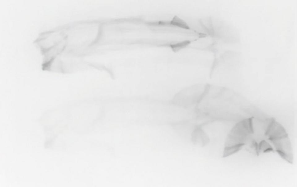 Screenshot of a dance film by Thierry De Mey